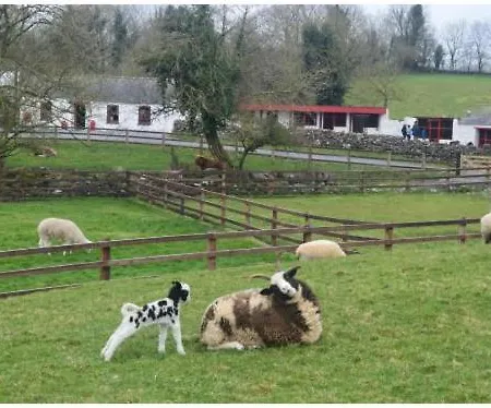 Nyaraló Pheobes Place Athlone