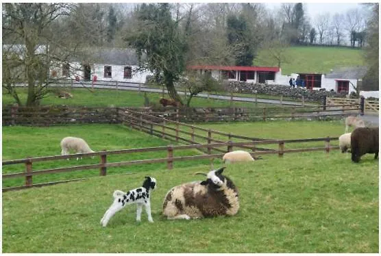 Prázdninový dům Pheobes Place Athlone
